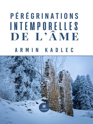 cover image of Pérégrinations intemporelles de l'âme